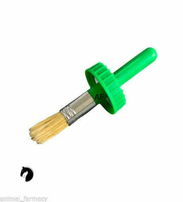 Worlds Best Hoof Oil Brush