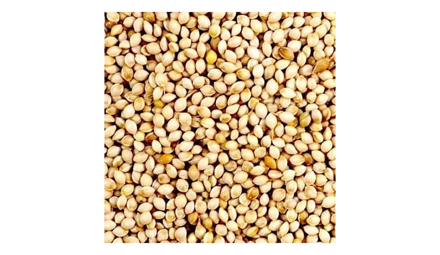 Green Valley Grains French White Millet 20kg