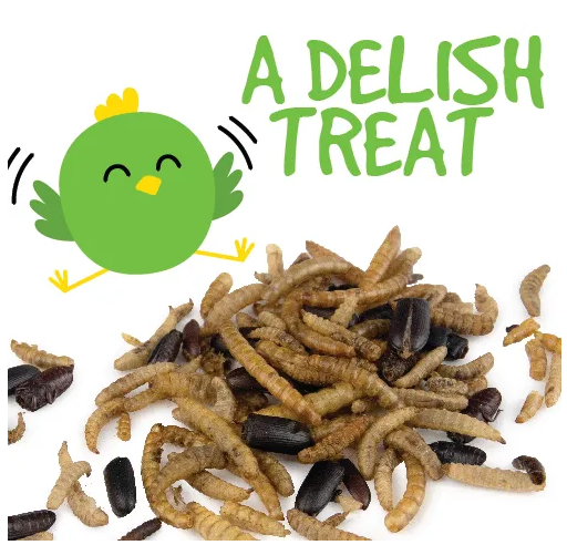 Bainbridge Bug Mix 100g