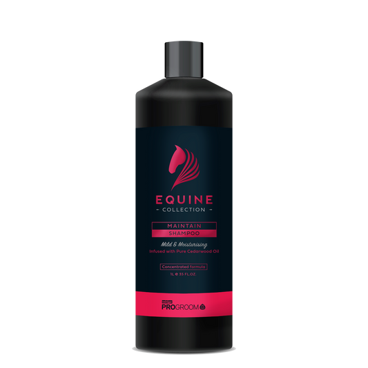 Progroom Equine Collection Maintain Shampoo 1ltr