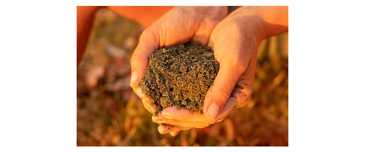 Inside Out Equine Health Hemp Meal [Siz:2.4kg]