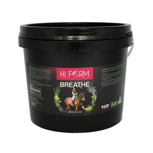 Hi Form Breathe [Siz:500g]
