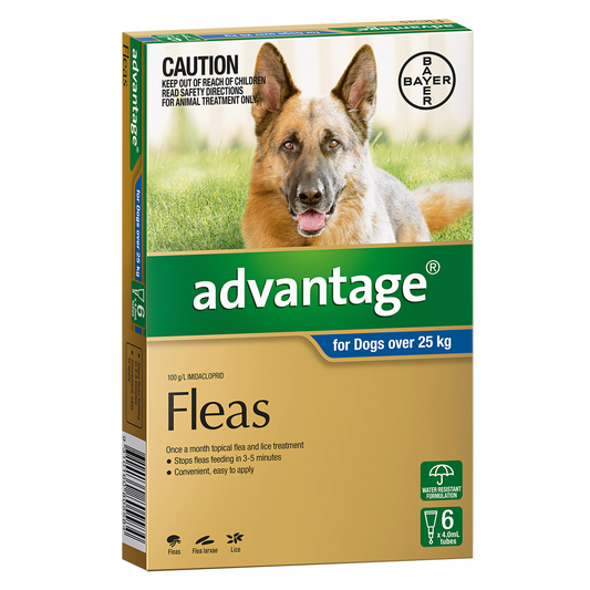 Bayer Advantage Dog 25kg Plus (X/LG) [Siz:4's]