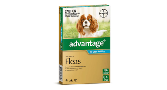 Bayer Advantage Dog 4-10kg (Medium) [Siz:4's]