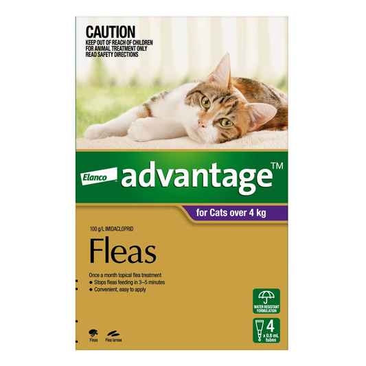 Bayer Advantage Cat 4kg Plus (Large) [Siz:4's]