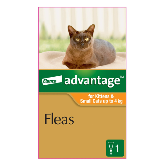 Bayer Advantage Cat 0-4kg (Small) [Siz:4's]