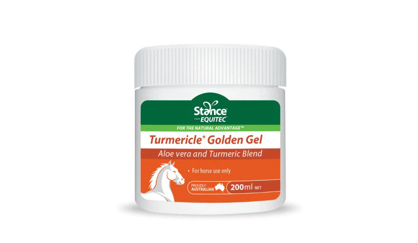 Stance Equitec Turmericle Golden Gel [Siz:100ml]