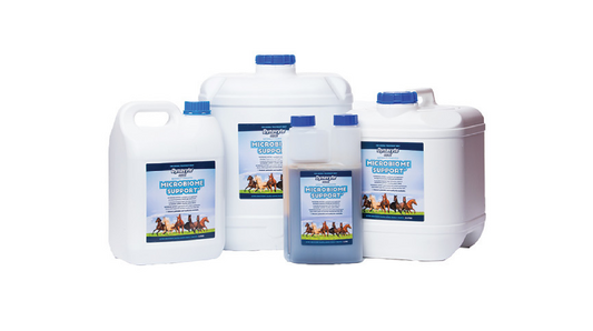 Dynavyte Equine Microbiome Support [Siz:1L]