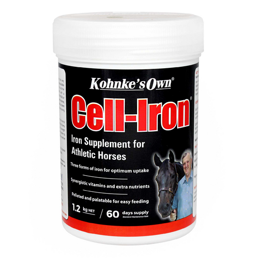 Kohnke's Cell Iron [Siz:1.2kg]