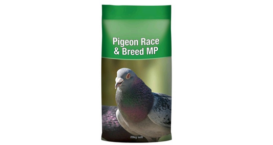 Laucke Pigeon Race & Breed MP