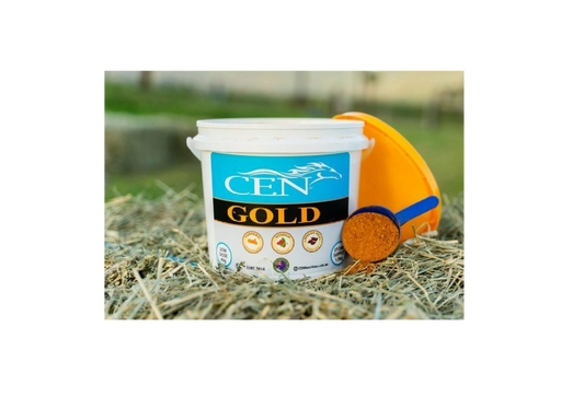 CEN Gold [Siz:1.2kg]