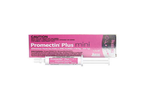 Promectin Plus Mini Allwormer Foals and Ponies