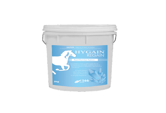 Hygain Regain [Siz:20kg]