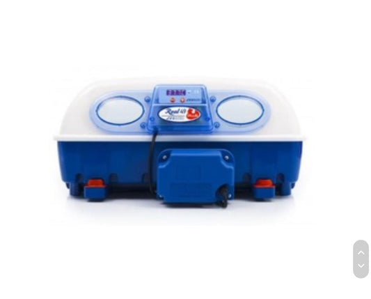 BF Incubator Real 49 Plus Automatic