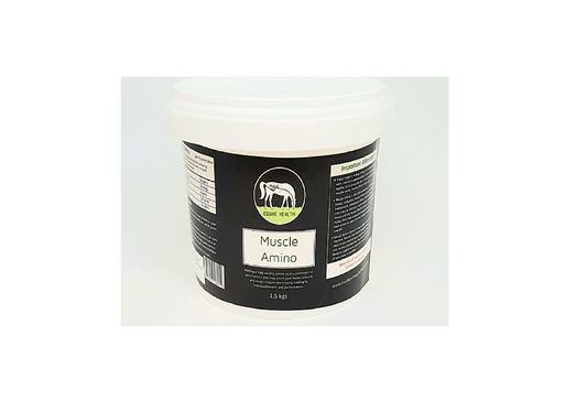Inside Out Equine Health Muscle Amino