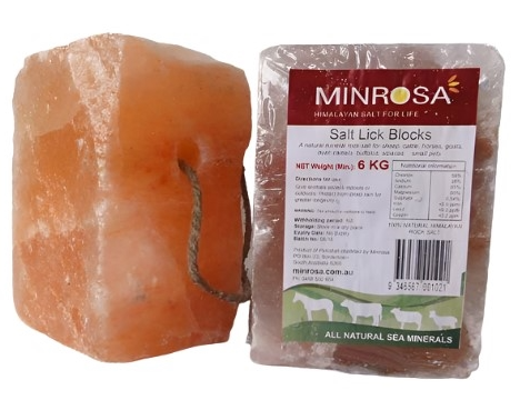 Minrosa Salt Block with hole 6kg