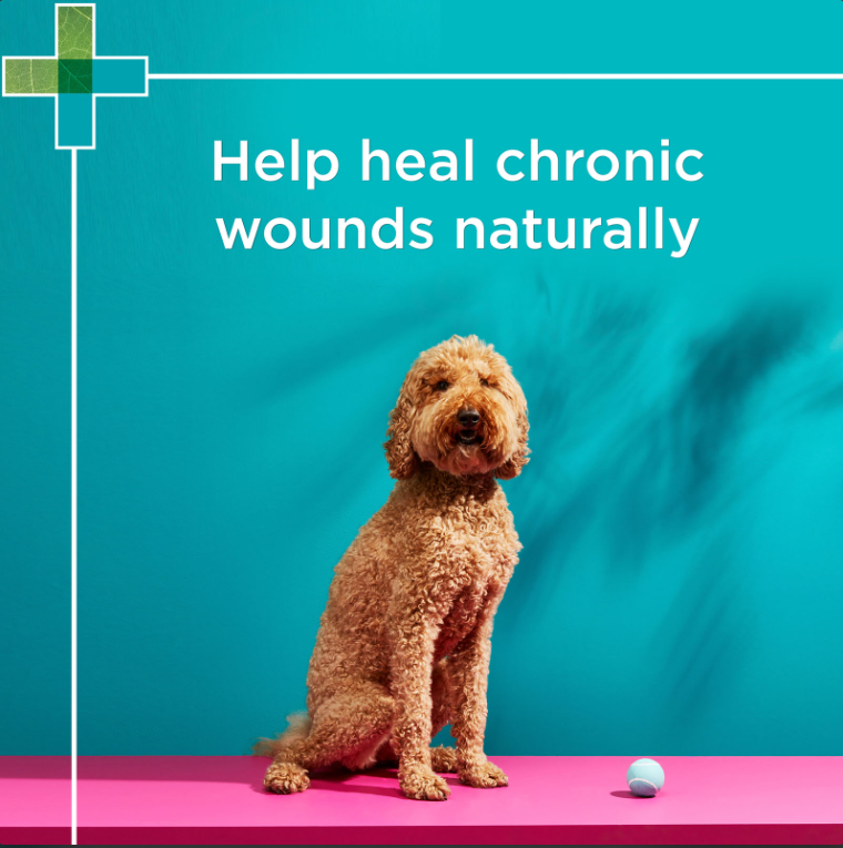 Manuka Wound Gel 25gm