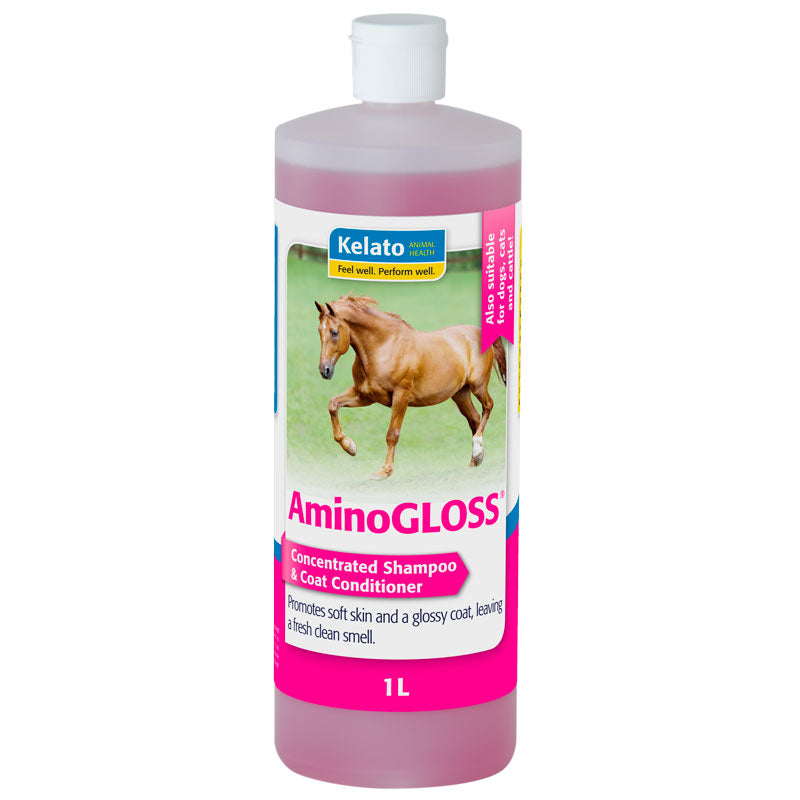 Aminogloss Coat Treatment [Siz:1L]