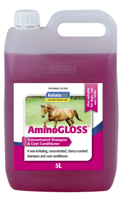 Aminogloss Coat Treatment [Siz:5L]