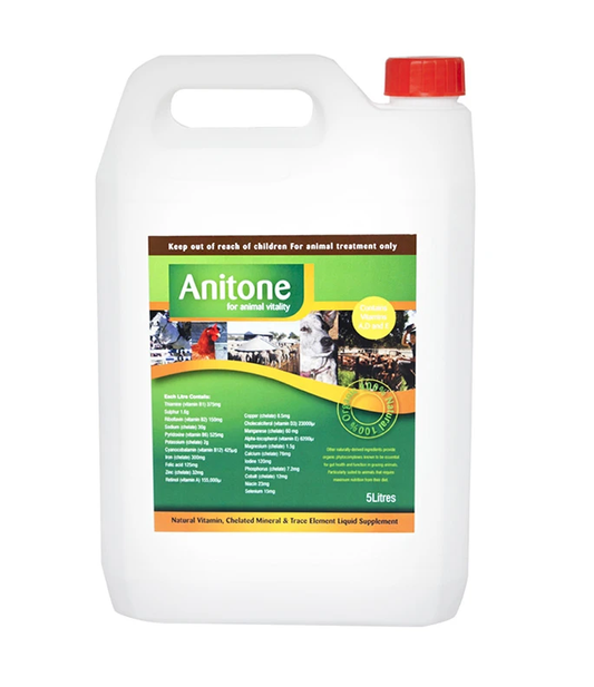Anitone [Siz:250ml]