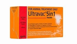 Zoetis Ultravac 5 in 1 [Siz:100ml]