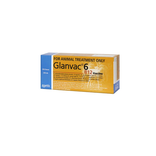 Zoetis Glanvac 6 B12 [Siz:500ml]