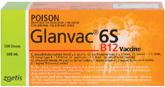 Zoetis Glanvac 6 B12 [Siz:500ml]