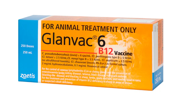 Zoetis Glanvac 6 B12 [Siz:250ml]