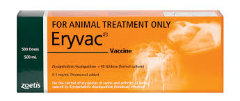 Zoetis Eryvac [Siz:500ml]