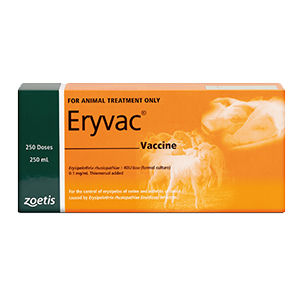 Zoetis Eryvac [Siz:250ml]
