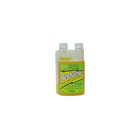 Virbac Recharge for Dogs 1ltr