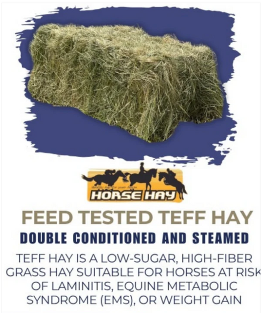 Teff Hay Bales