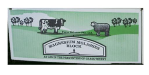FB Magnesium & Molasses Block 20kg