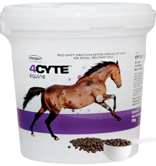 4Cyte Equine Granules [Siz:700g]