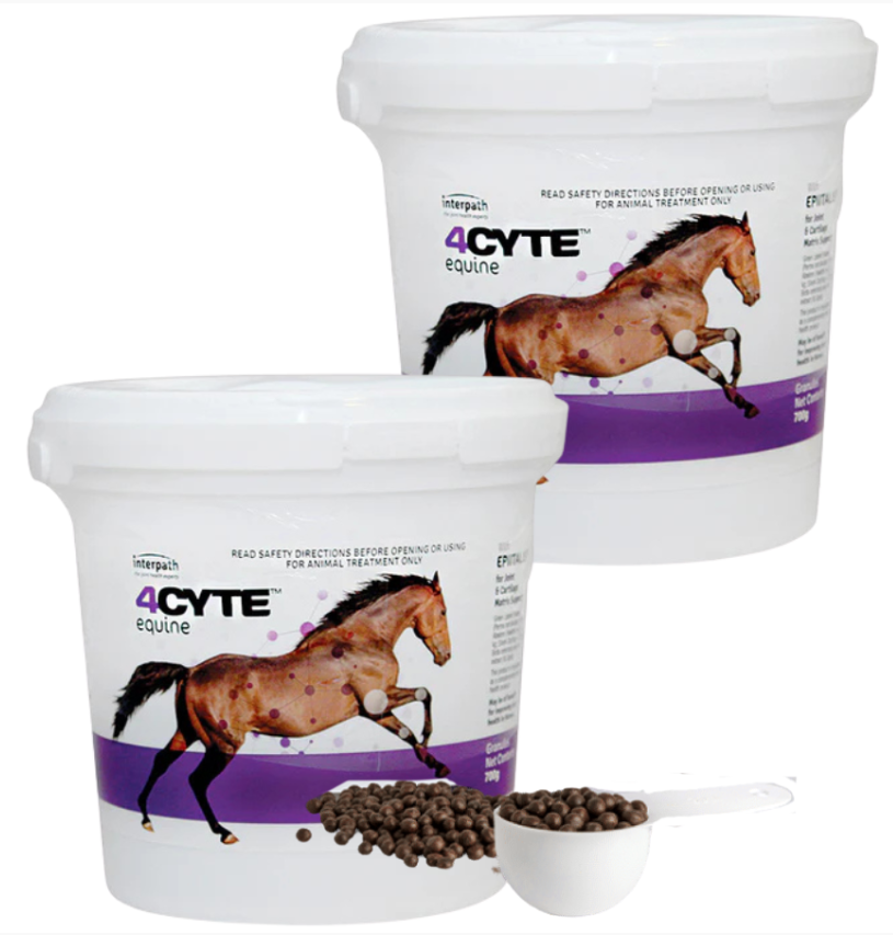 4Cyte Equine Granules [Siz:700g]