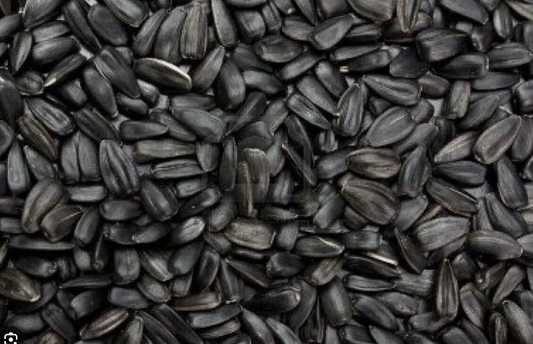 Avigrain Black Sunflower 15kg 
