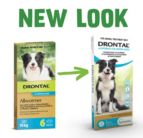 Drontal Medium Dog 6 tabs  