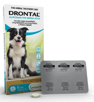 Drontal Medium Dog 6 tabs  