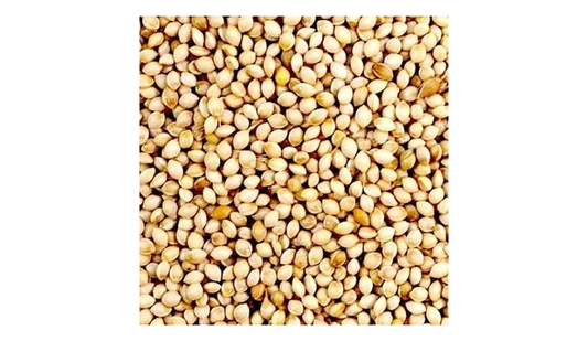 Green Valley Grains French White Millet 20kg