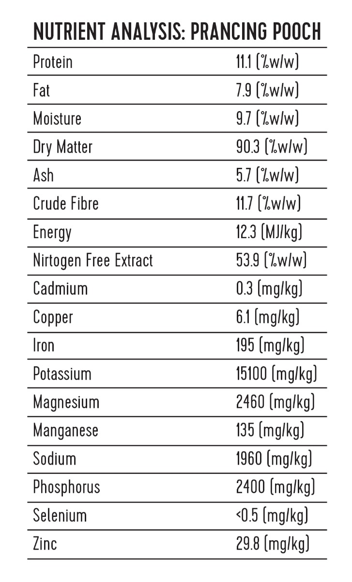 McDowells Prancing Pooch 500g