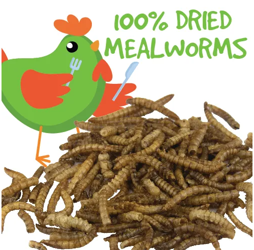 Bainbridge Mealworms 100g