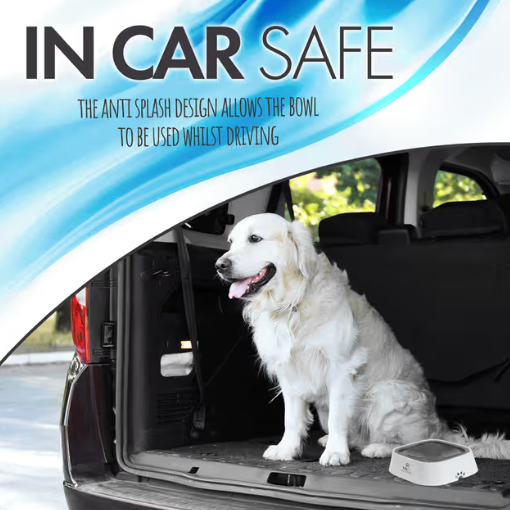 All Fur You Anti Splash Bowl Grey  