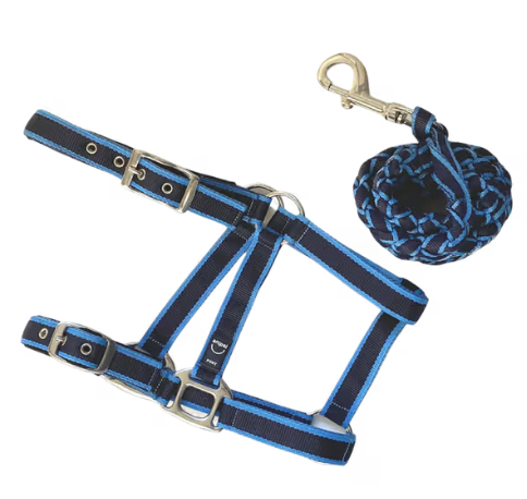 Anipal Headstall and Lead Set [Siz:Cob Col:Ocean Blue]