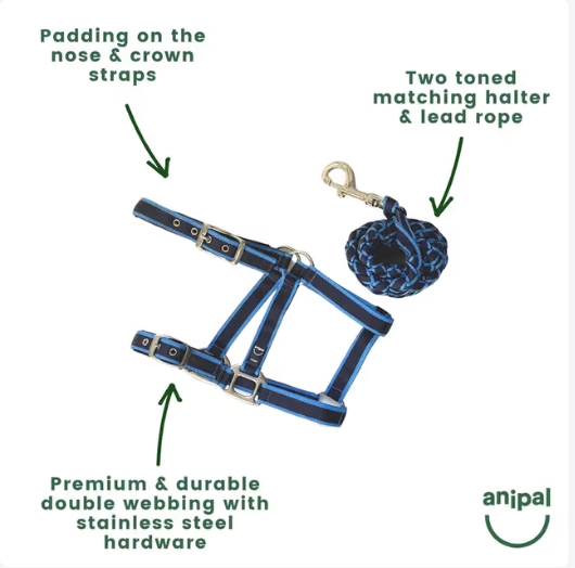 Anipal Headstall and Lead Set [Siz:Full Col:Ocean Blue]