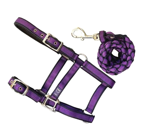 Anipal Headstall and Lead Set [Siz:Pony Col:Lilac]